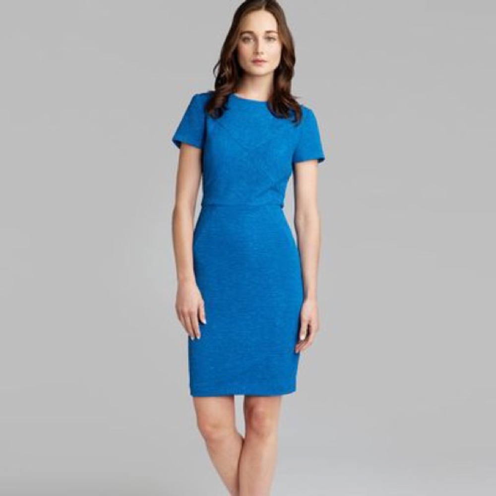 Ted Baker Textured Nedeli Dress XS